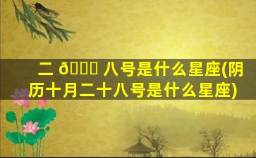 二 🐛 八号是什么星座(阴历十月二十八号是什么星座)
